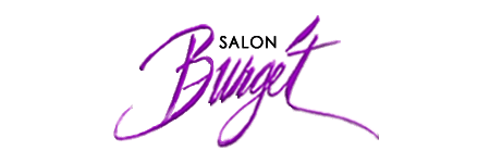 Digital Marketing Salon Burget Logo 1 - Digital Marketing